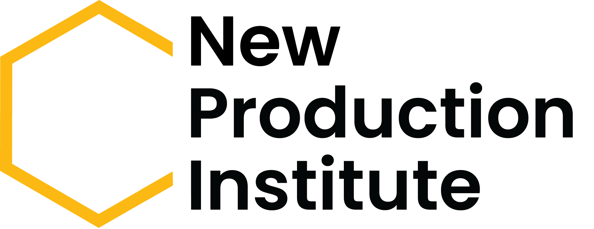 The New Production Institute